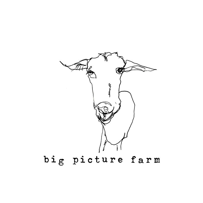 big pitcure farm logo